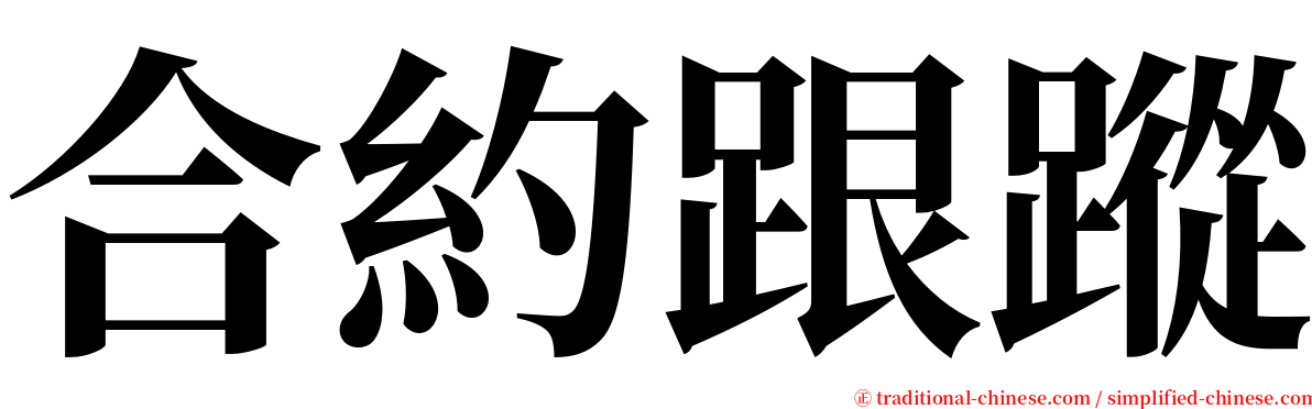 合約跟蹤 serif font