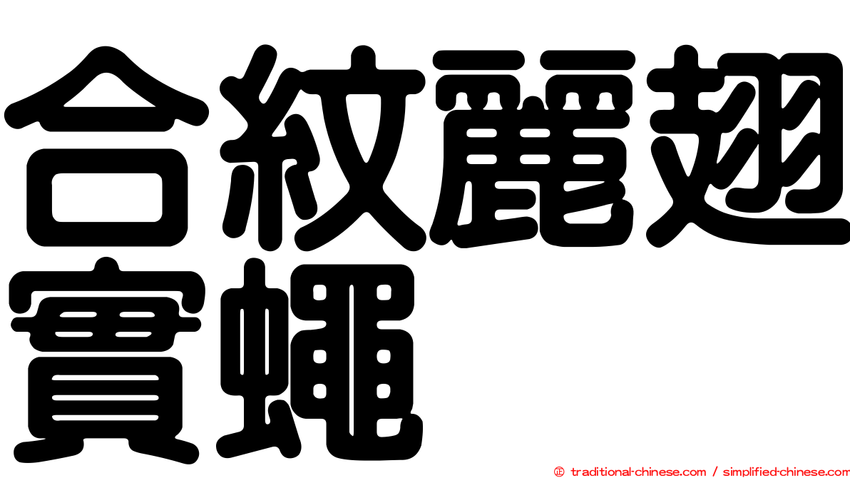 合紋麗翅實蠅