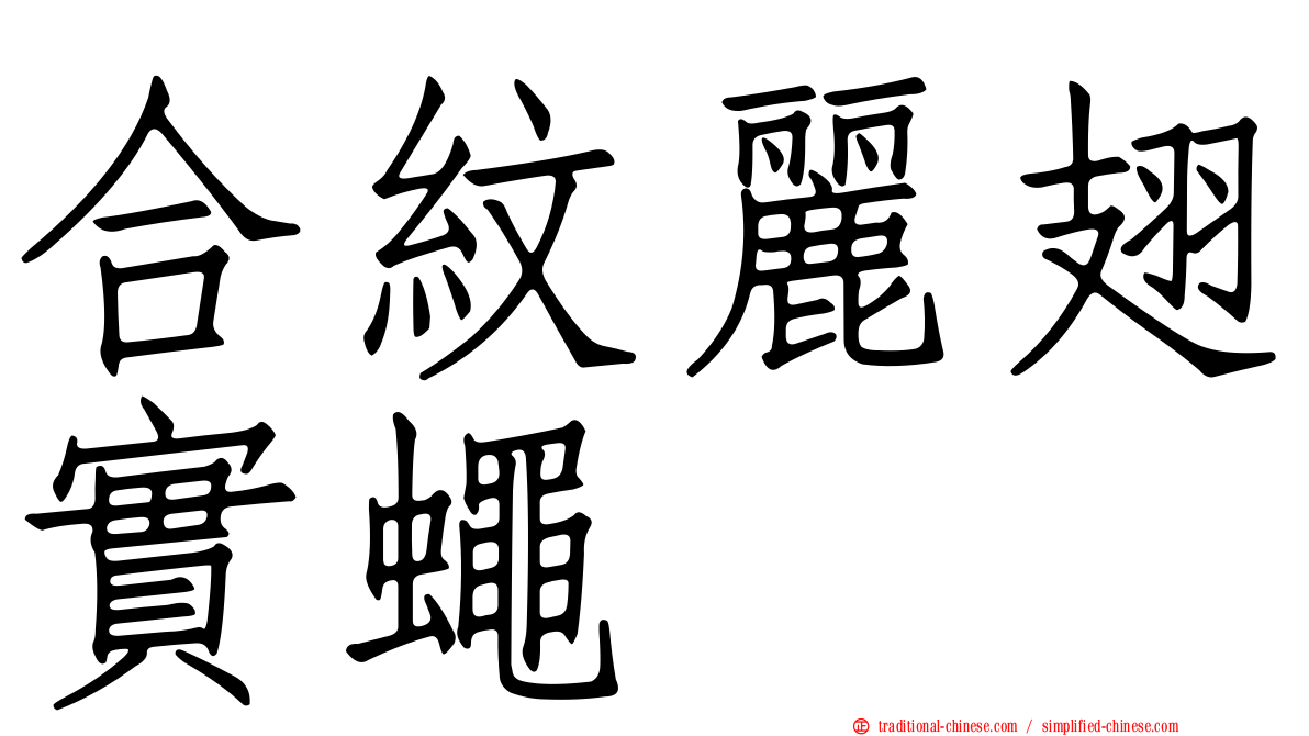 合紋麗翅實蠅