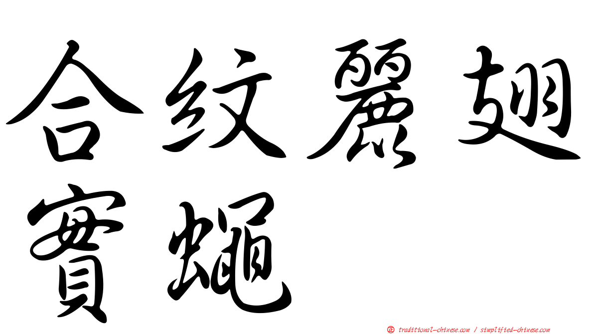 合紋麗翅實蠅