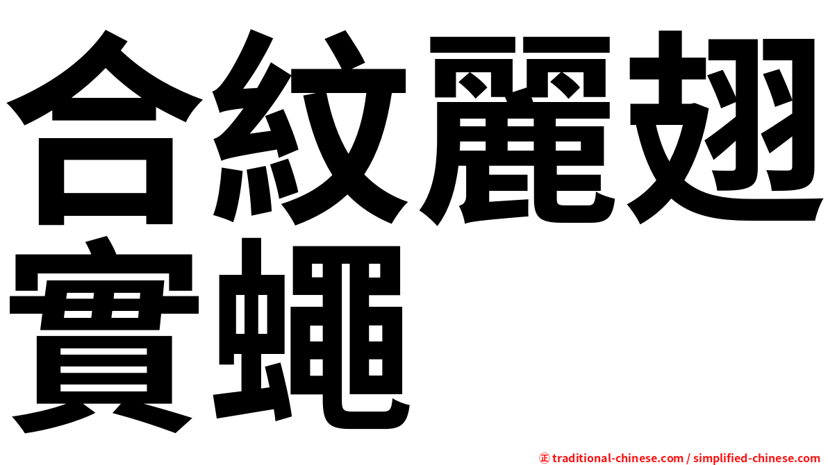 合紋麗翅實蠅