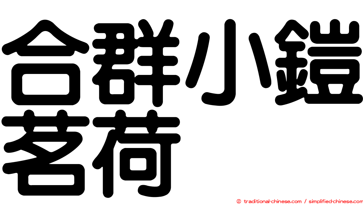 合群小鎧茗荷