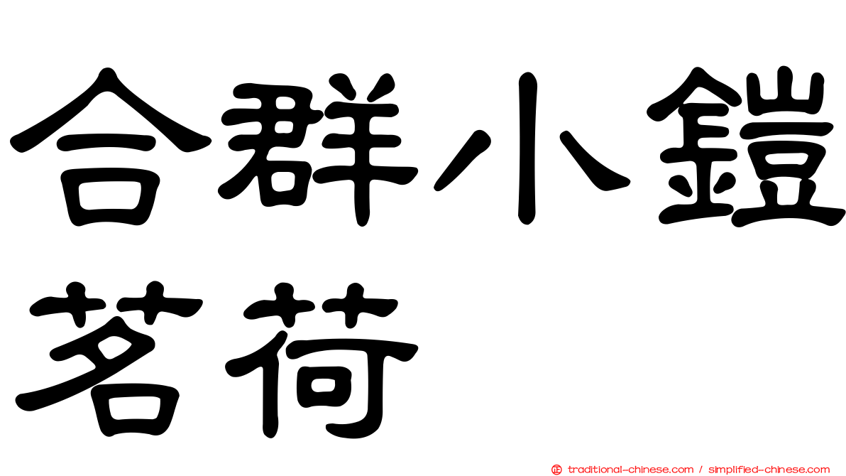 合群小鎧茗荷