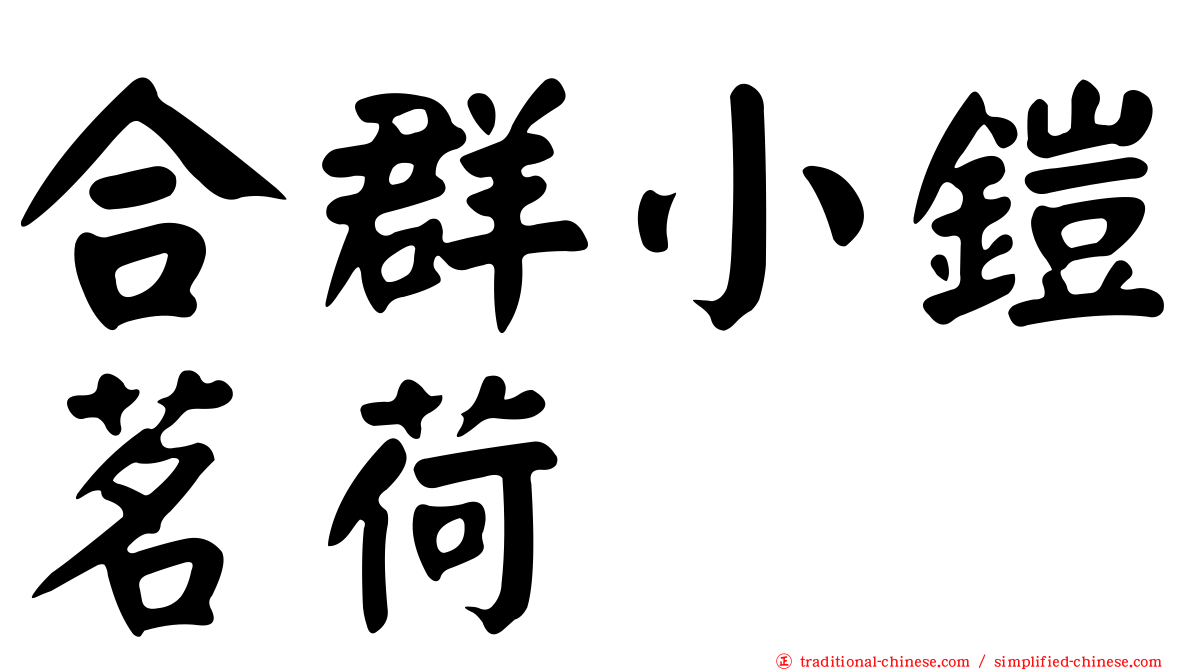 合群小鎧茗荷