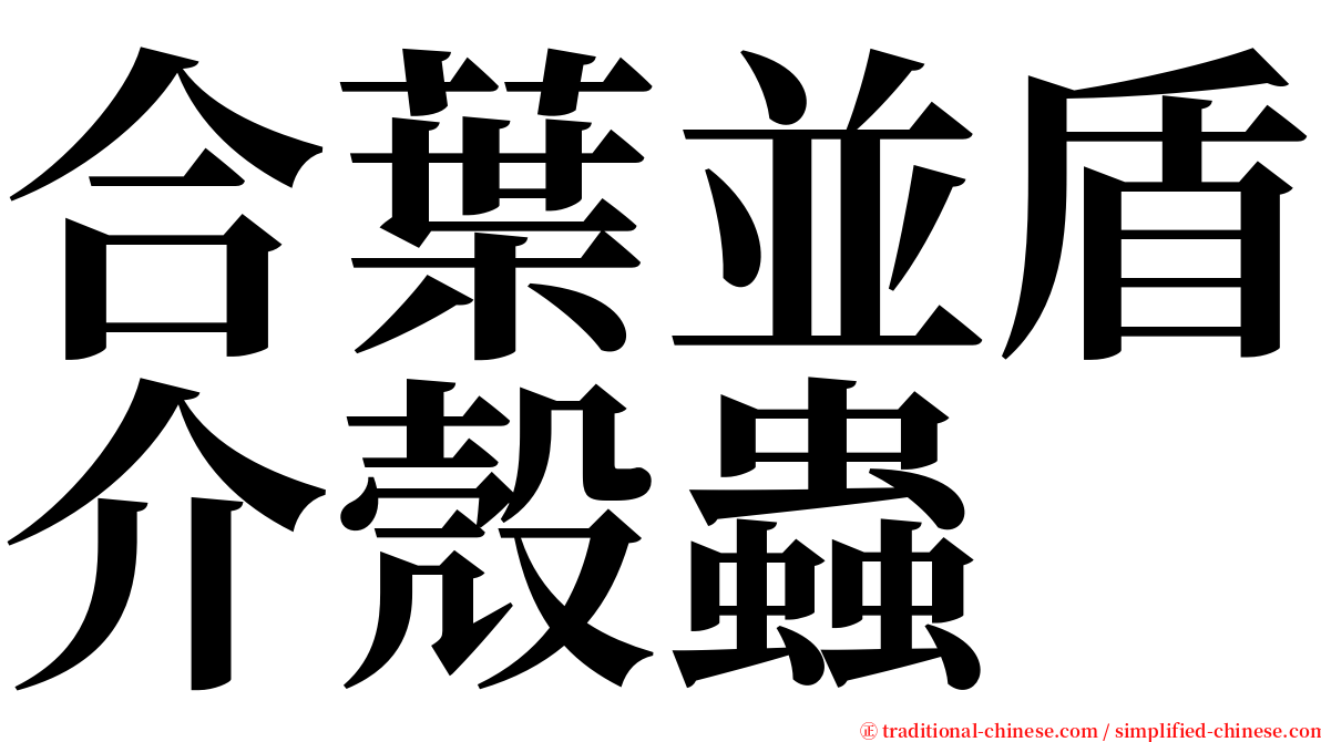 合葉並盾介殼蟲 serif font
