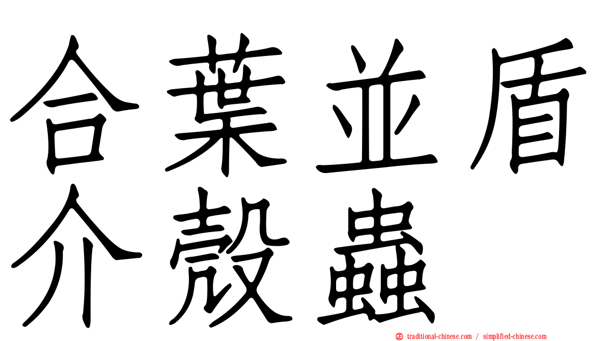 合葉並盾介殼蟲