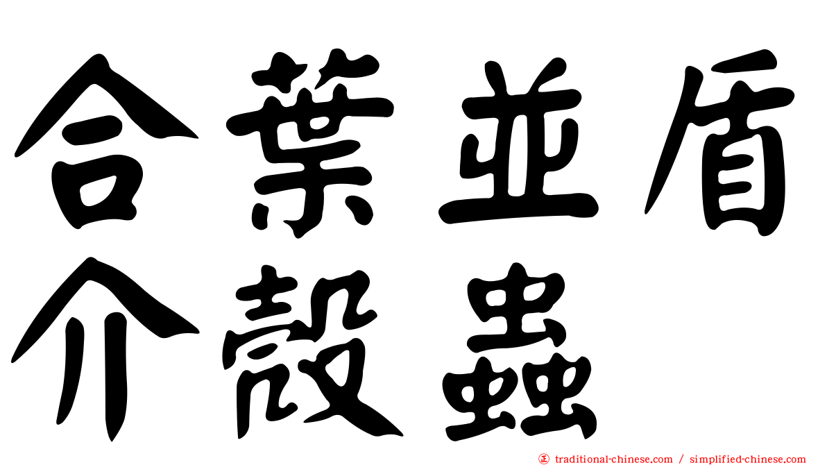 合葉並盾介殼蟲