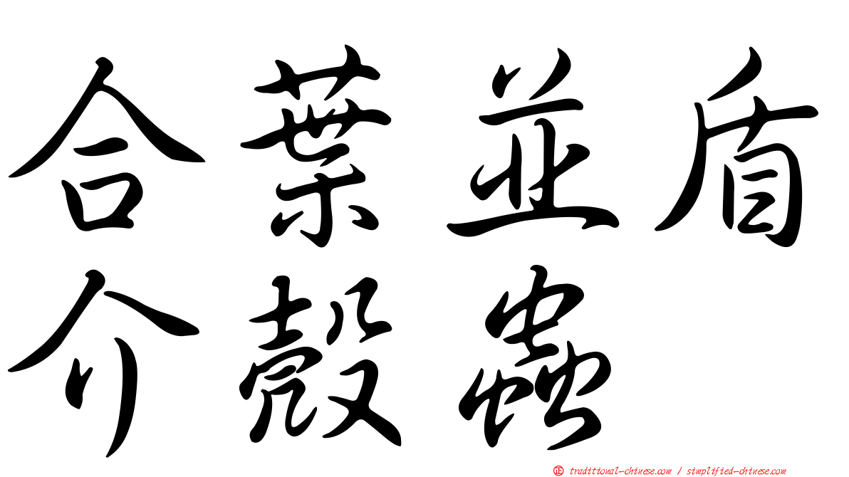 合葉並盾介殼蟲
