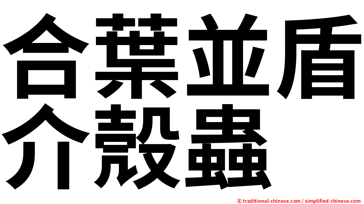 合葉並盾介殼蟲