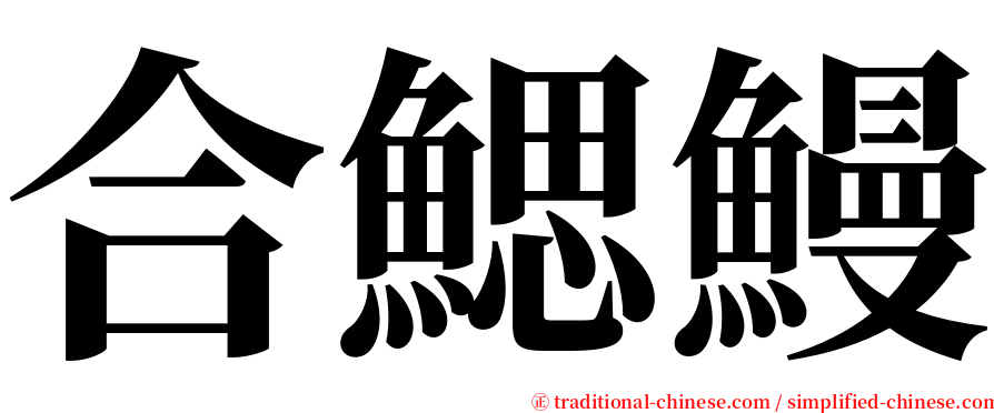 合鰓鰻 serif font