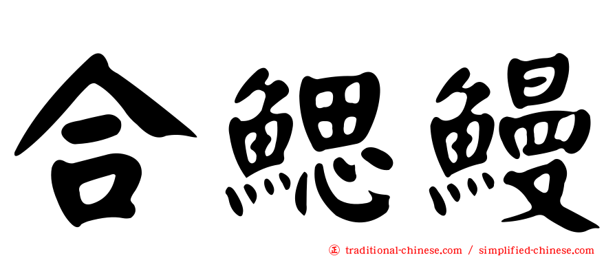 合鰓鰻