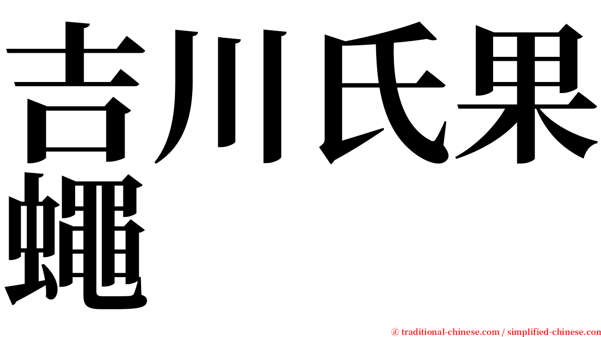 吉川氏果蠅 serif font