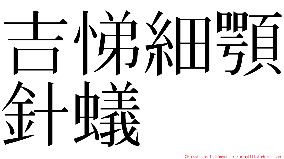 吉悌細顎針蟻 ming font