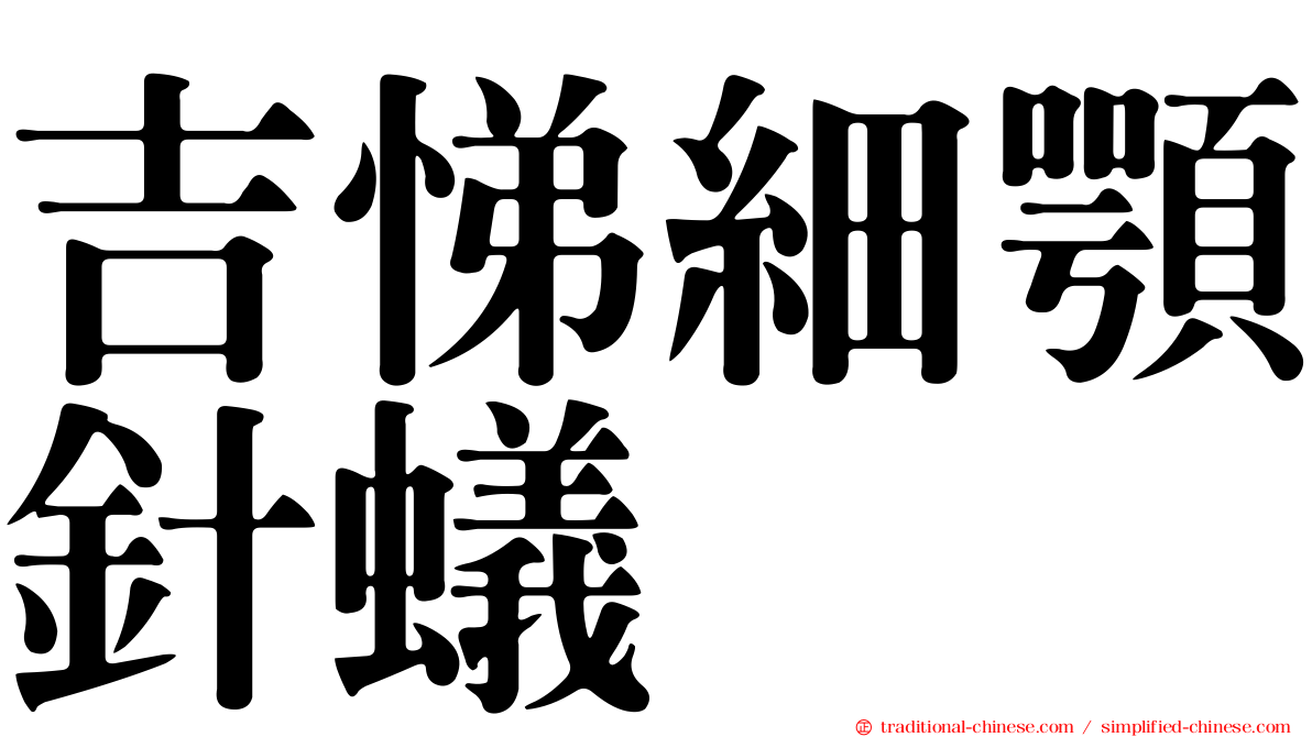 吉悌細顎針蟻