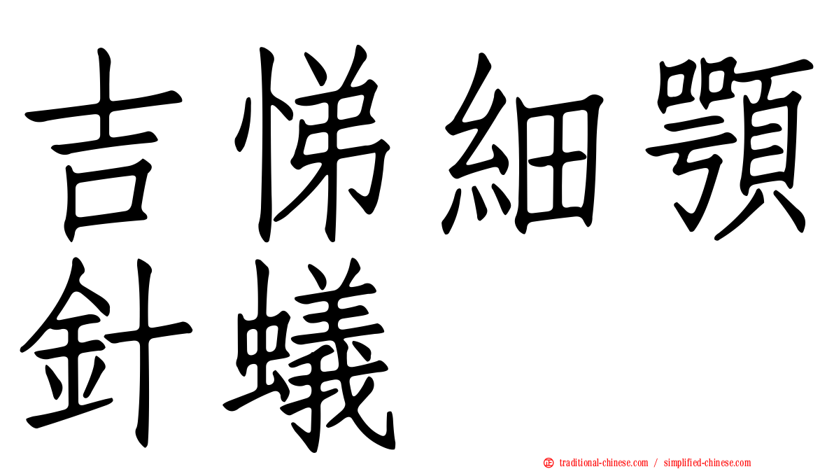 吉悌細顎針蟻