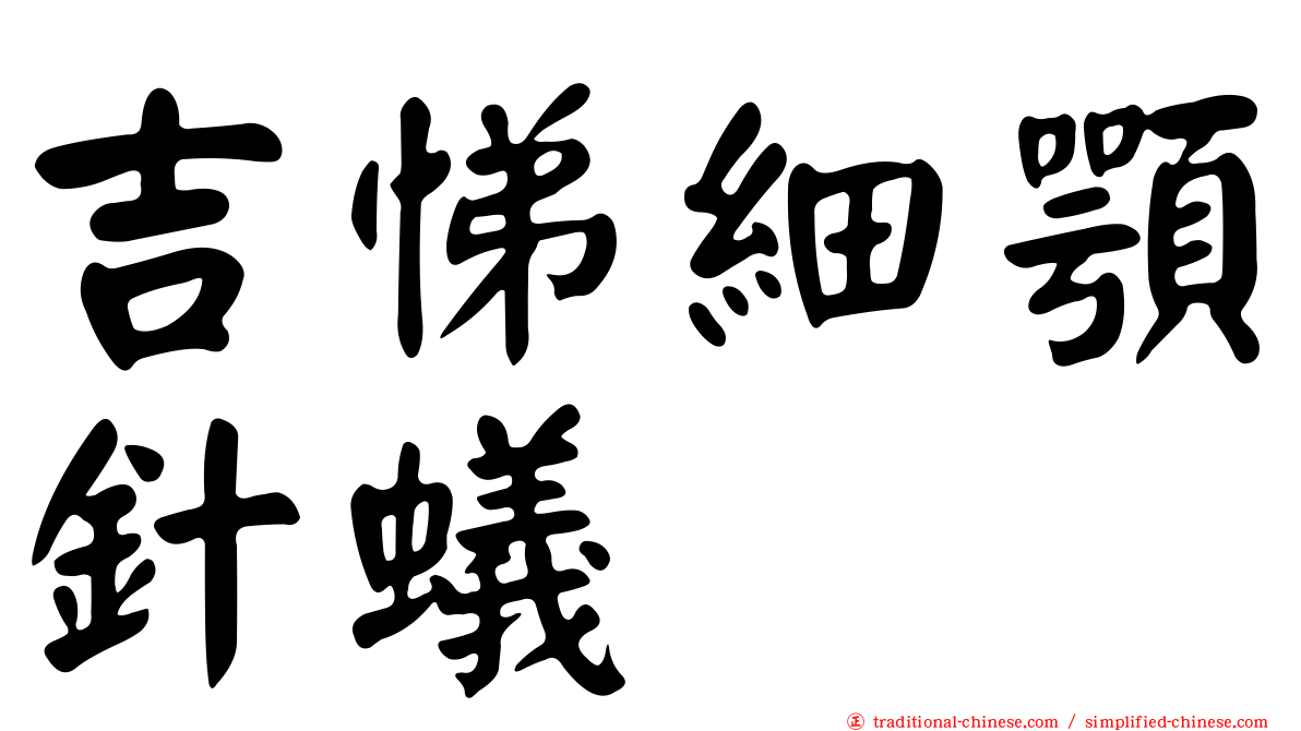 吉悌細顎針蟻