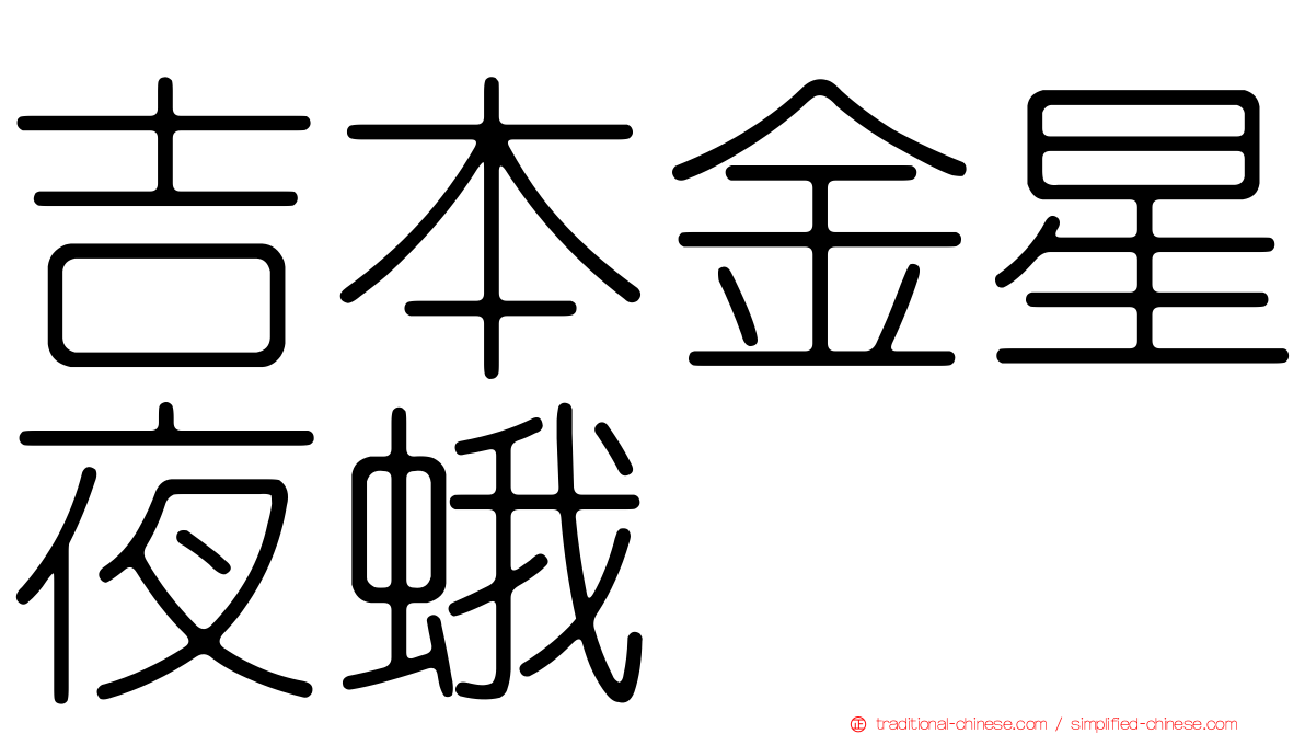 吉本金星夜蛾