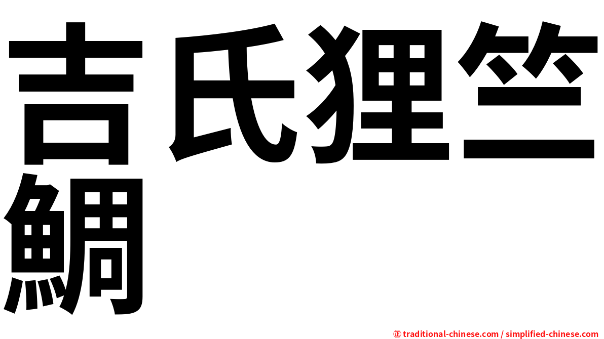吉氏狸竺鯛