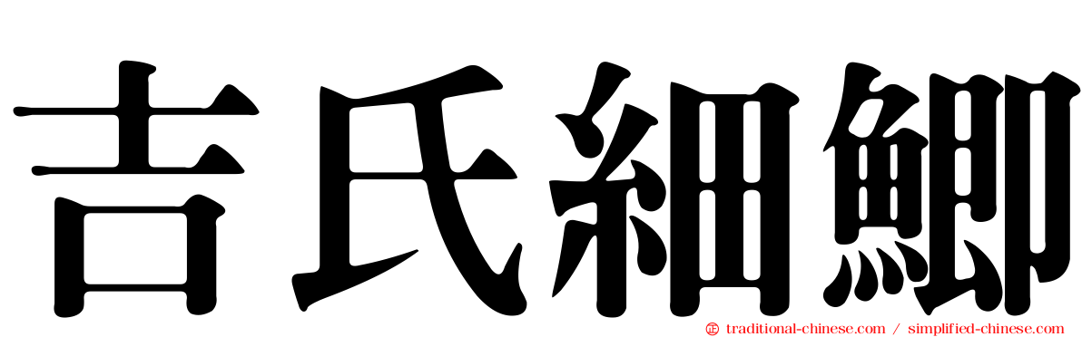 吉氏細鯽