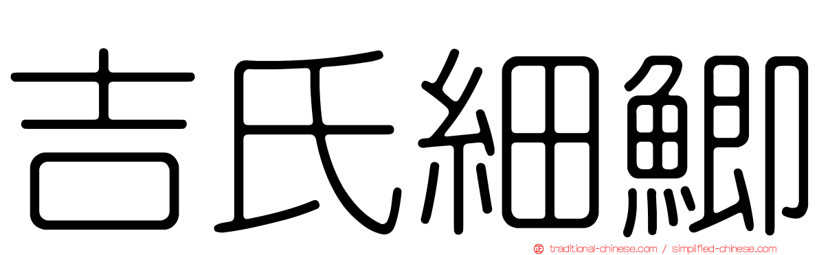 吉氏細鯽
