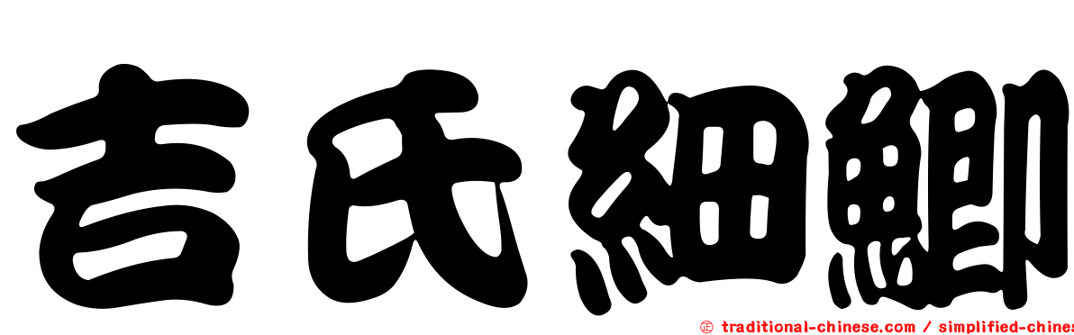吉氏細鯽
