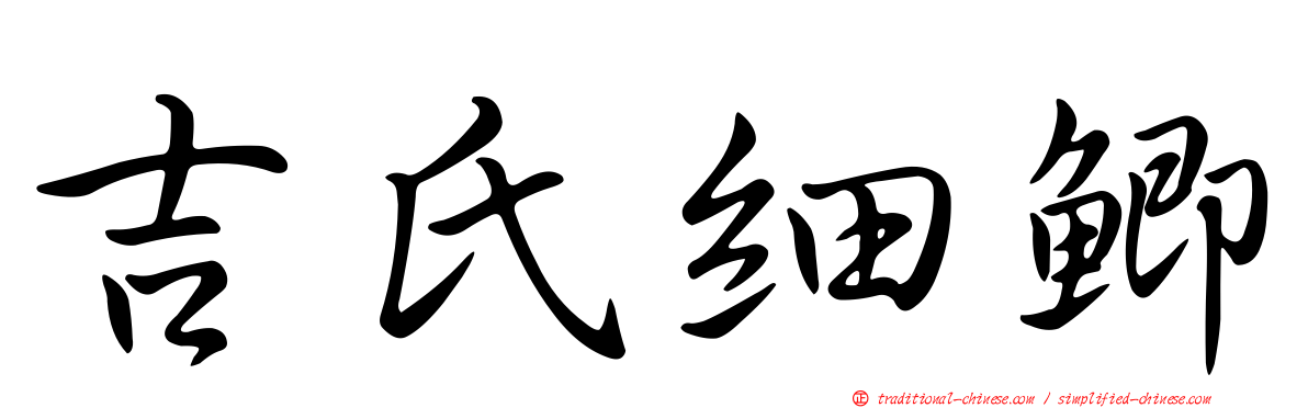 吉氏細鯽
