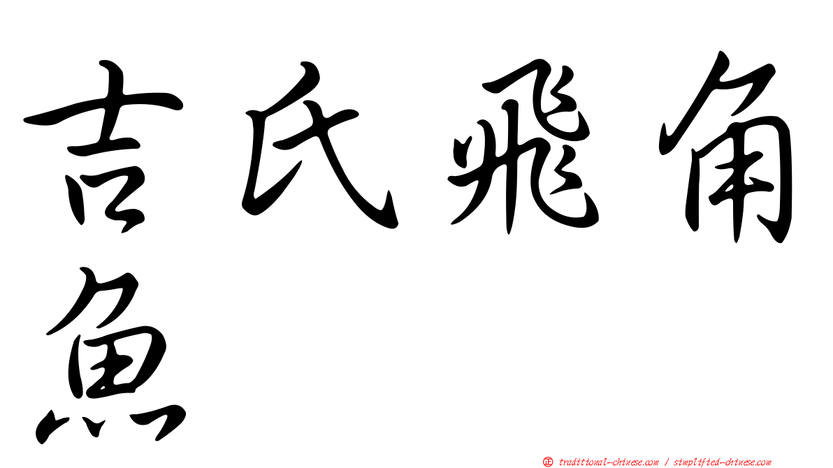 吉氏飛角魚