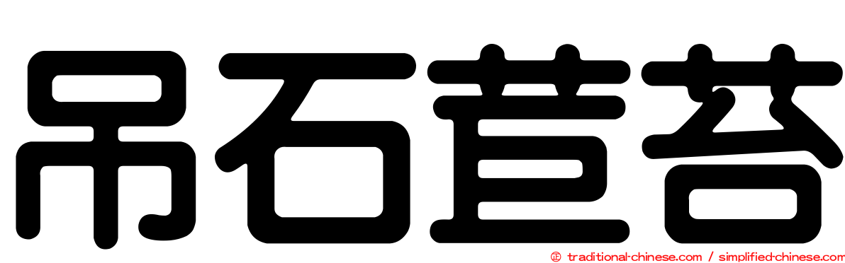 吊石苣苔