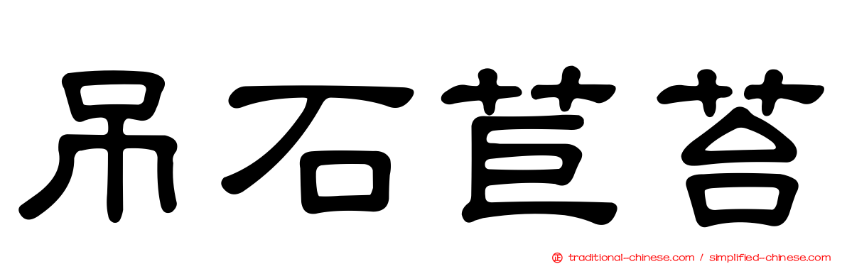 吊石苣苔