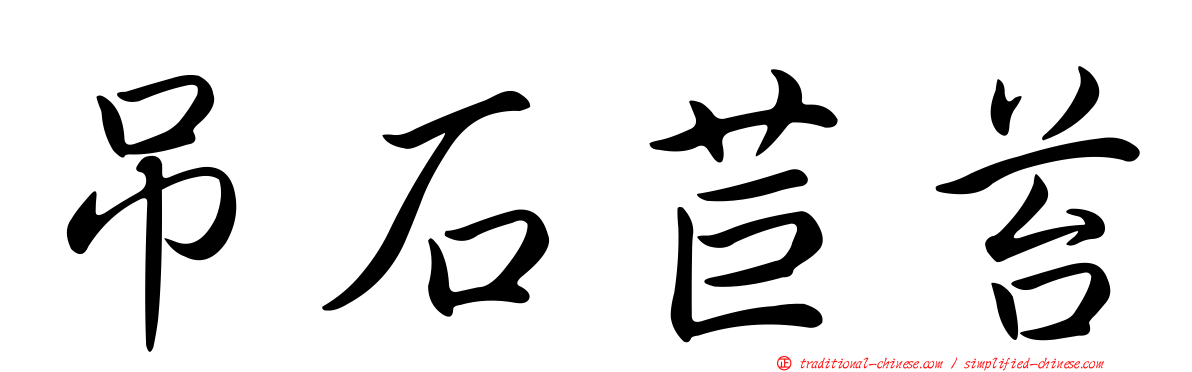 吊石苣苔