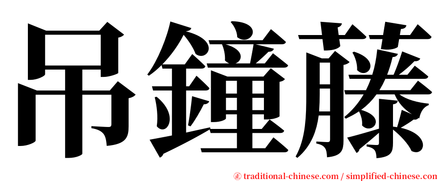 吊鐘藤 serif font