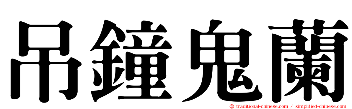 吊鐘鬼蘭