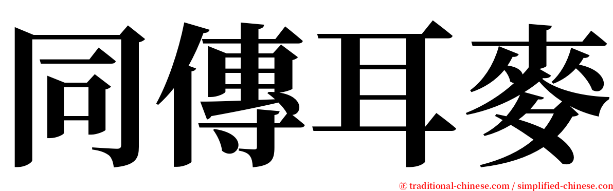 同傳耳麥 serif font