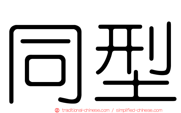 同型