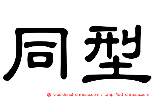 同型