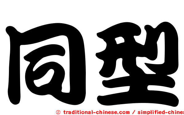 同型