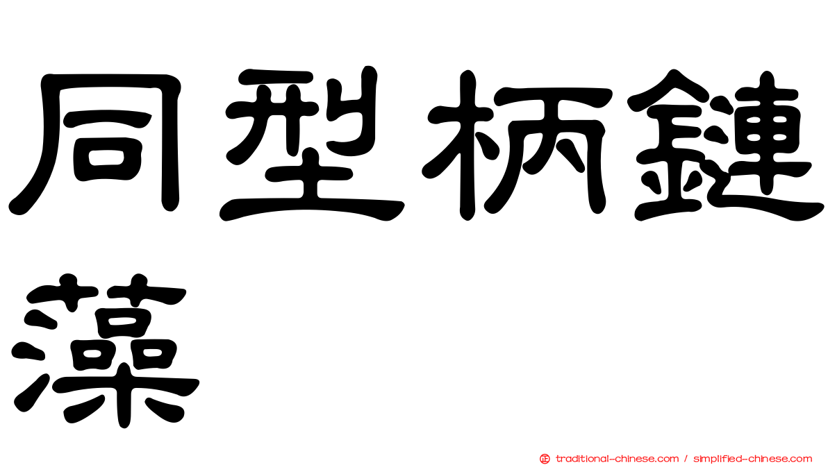 同型柄鏈藻