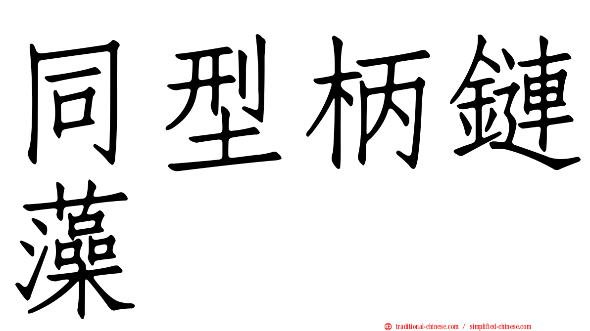同型柄鏈藻
