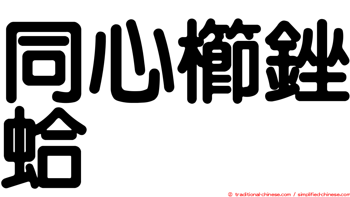 同心櫛銼蛤