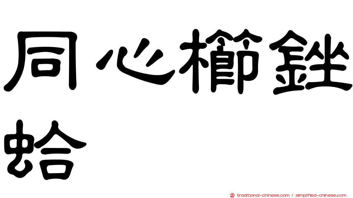 同心櫛銼蛤
