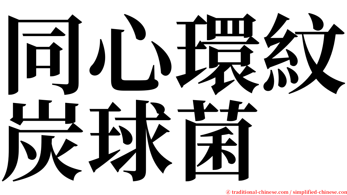 同心環紋炭球菌 serif font