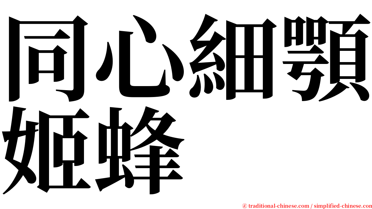 同心細顎姬蜂 serif font