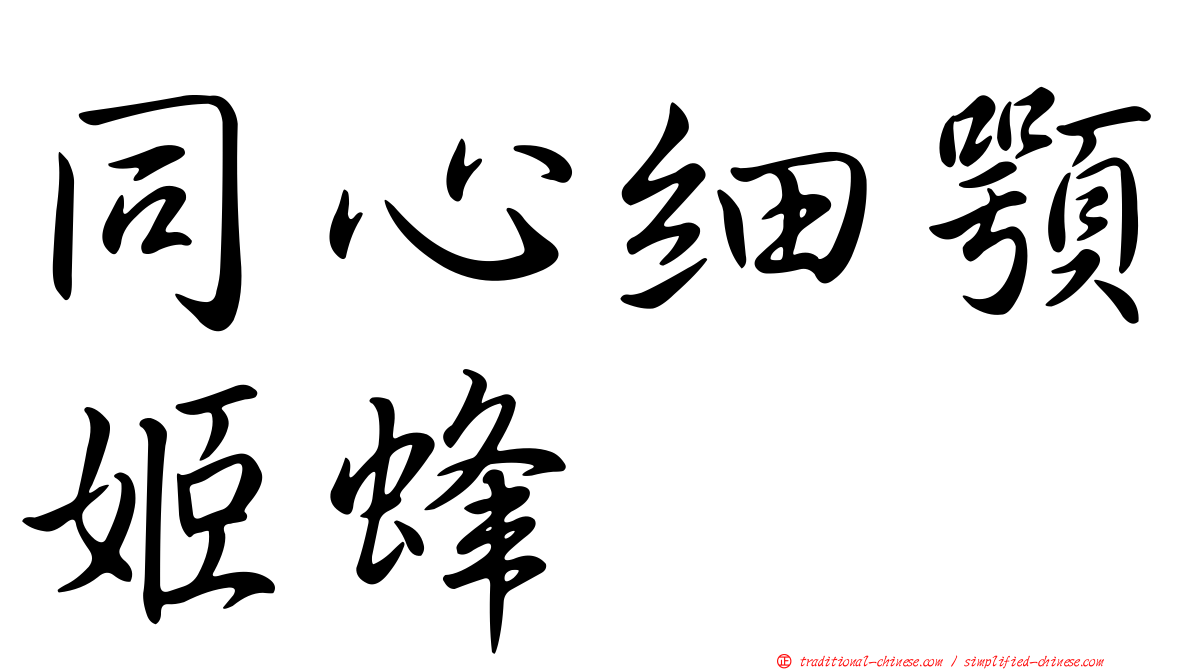 同心細顎姬蜂