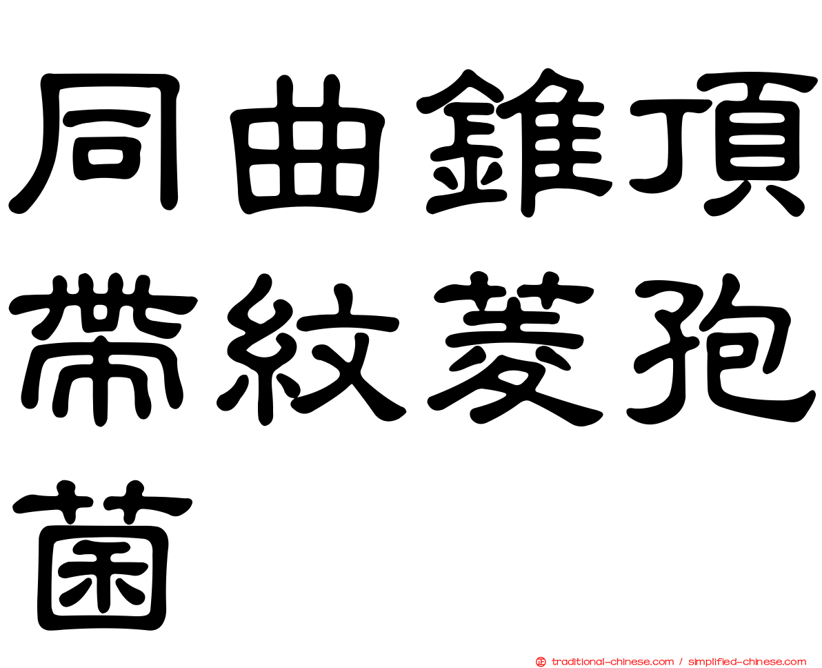 同曲錐頂帶紋菱孢菌