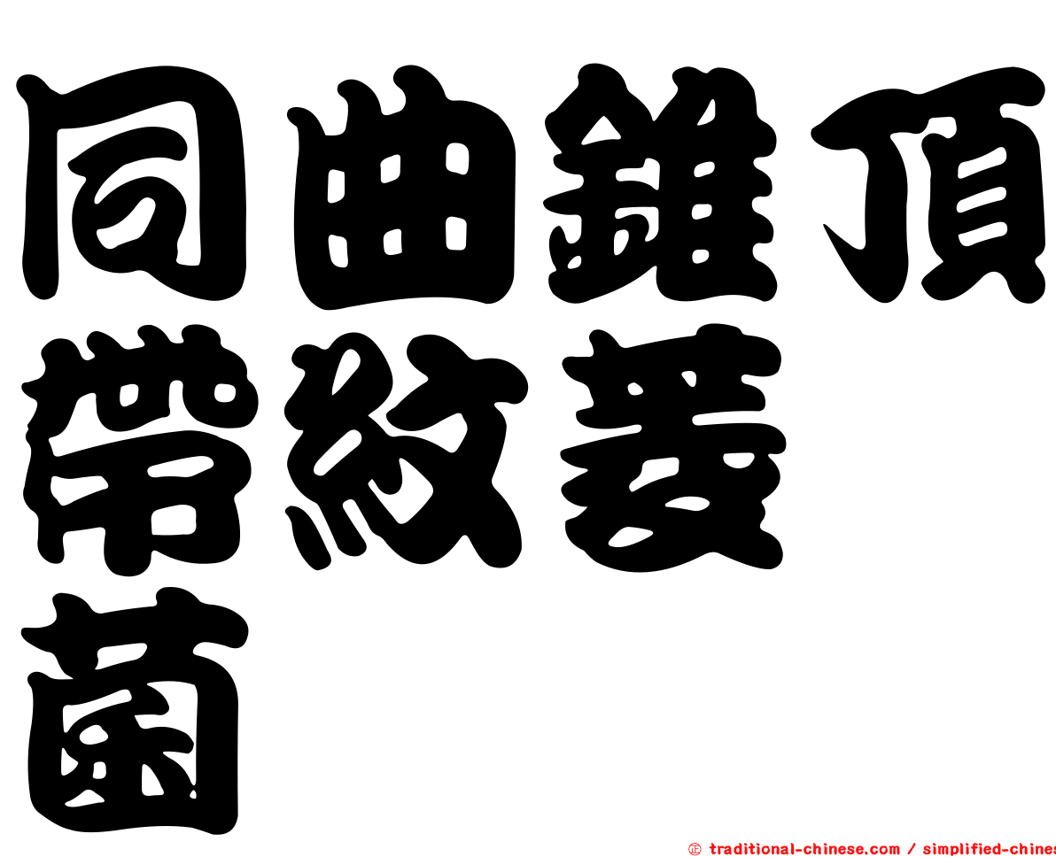 同曲錐頂帶紋菱孢菌