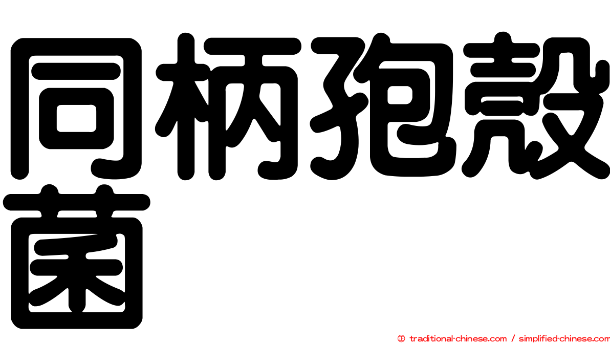 同柄孢殼菌