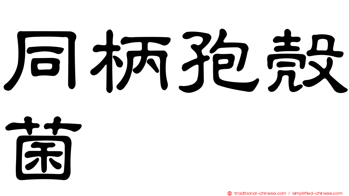 同柄孢殼菌