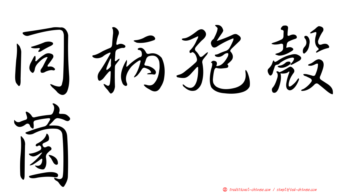 同柄孢殼菌