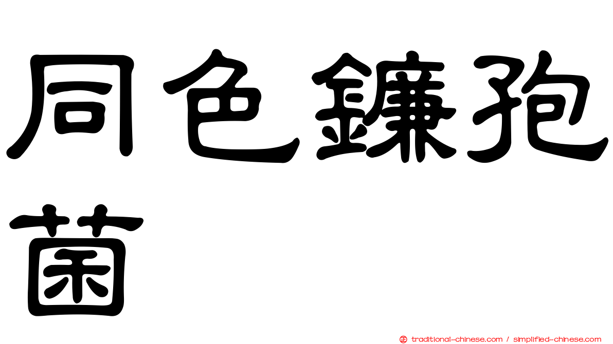 同色鐮孢菌