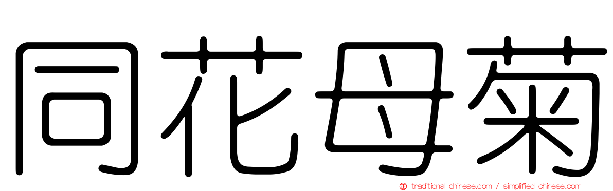 同花母菊